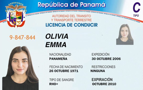 Panama Driver's License PSD Template - Editable, High-Quality Design - Image 4