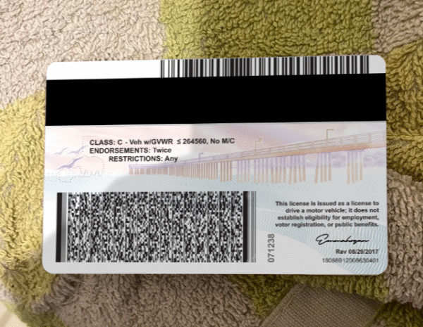 California Driving License V4 PSD Template - Editable, High-Quality Design - Image 4