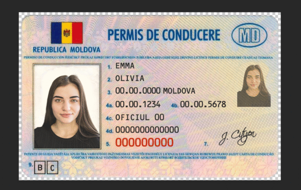 Moldova Driving Licence PSD Template - Editable, High-Quality Design - Image 4