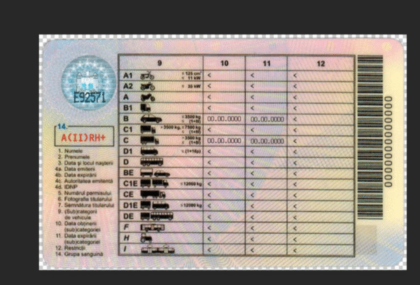 Moldova Driving Licence PSD Template - Editable, High-Quality Design - Image 3