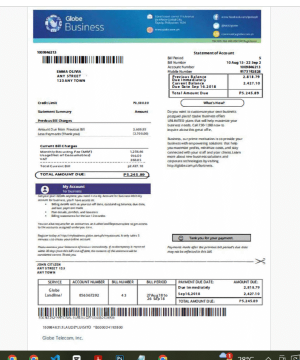 Philippines Globe Business Bill PSD Template - Editable, High-Quality Design - Image 6