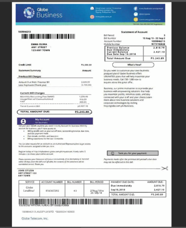 Philippines Globe Business Bill PSD Template - Editable, High-Quality Design - Image 4