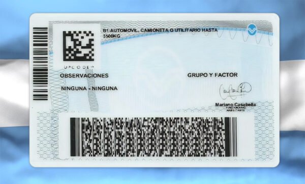 Argentina (Buenos Aires) Driving Licence V2 PSD Template - Editable, Multi-Purpose Design - Image 6