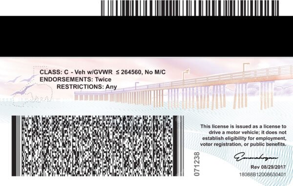California Driving License V4 PSD Template - Editable, High-Quality Design - Image 5