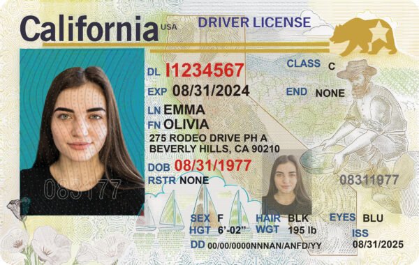 California Driving License V4 PSD Template - Editable, High-Quality Design - Image 6