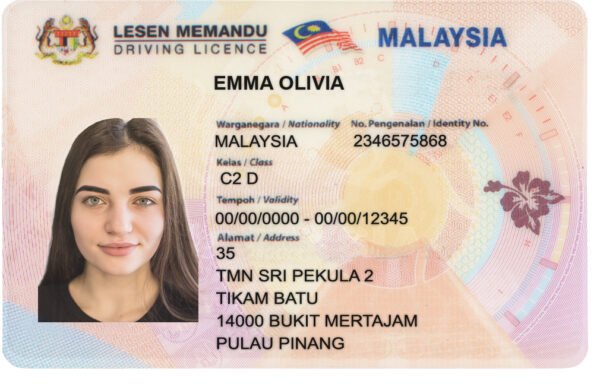 Malaysia  Driving Licence PSD Template - Editable, High-Quality Design - Image 6