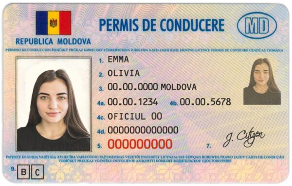 Moldova Driving Licence PSD Template - Editable, High-Quality Design - Image 8