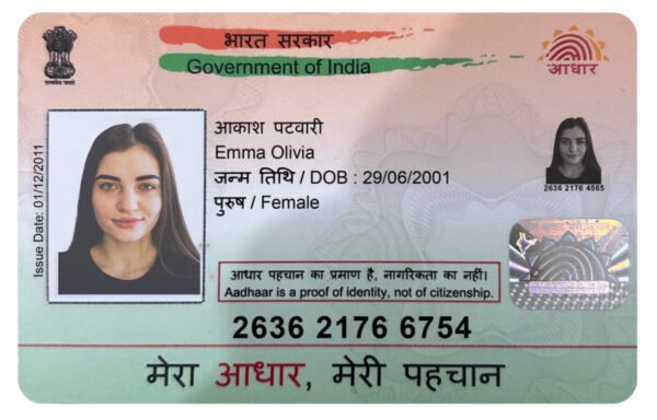 India Aadhaar Card PSD Template - Editable, High-Quality Design - Image 7