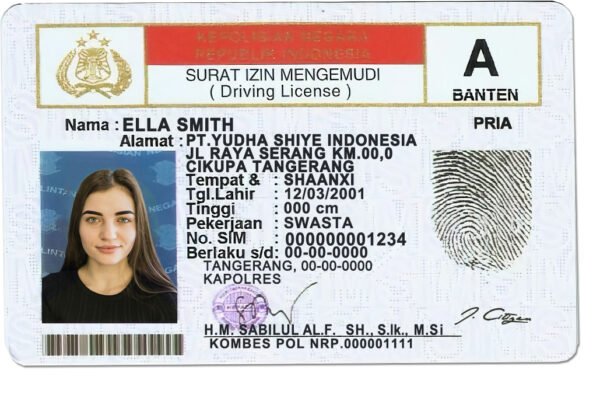 Indonesia Driver License PSD Template - Editable, High-Quality Design - Image 3