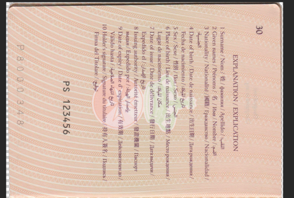 Malta Passport PSD Template - Editable, High-Quality  Design - Image 6