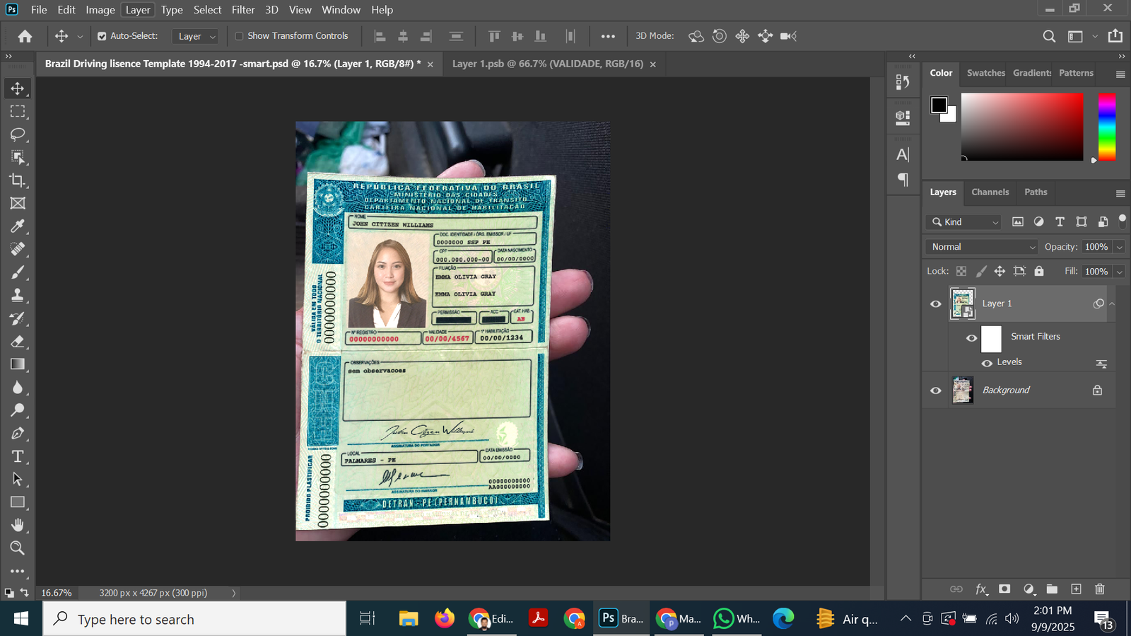 Brazil DL 1994-2017 PSD TemplateTemplate Preview