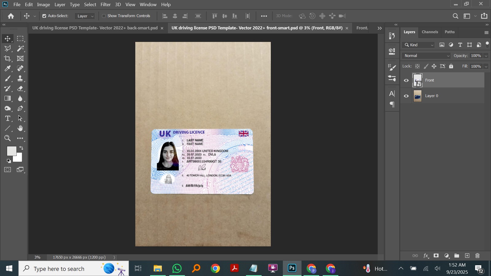 UK DL V2 PSD Template Preview