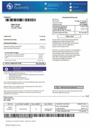 Philippines Globe Business Bill PSD Template - Editable, High-Quality Design