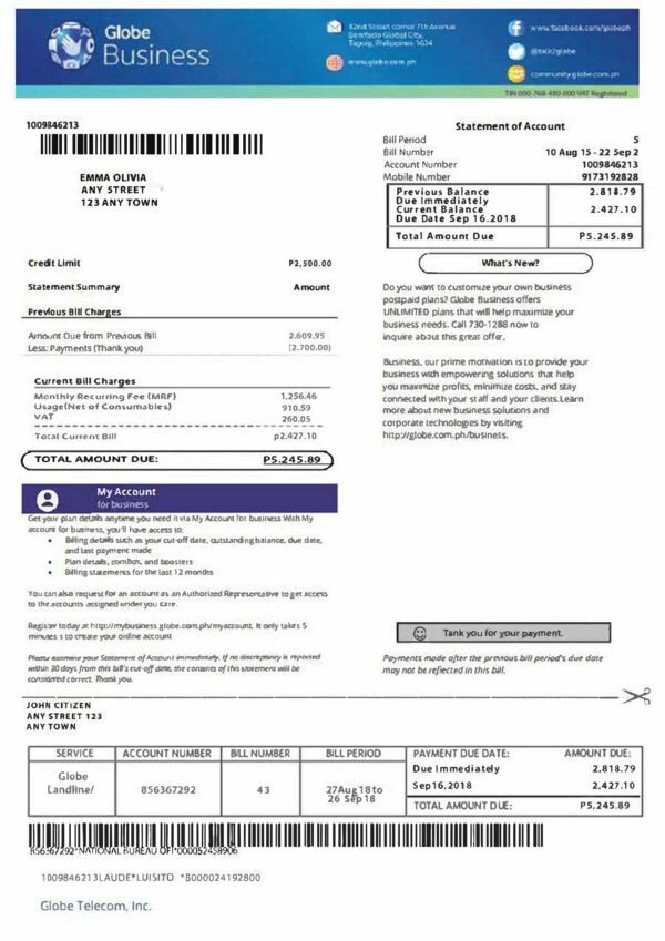 Philippines Globe Business Bill PSD Template - Editable, High-Quality Design