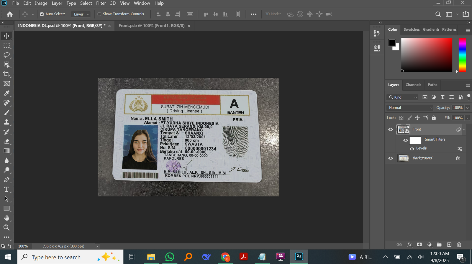 Indonesia Driver License PSD Template Preview