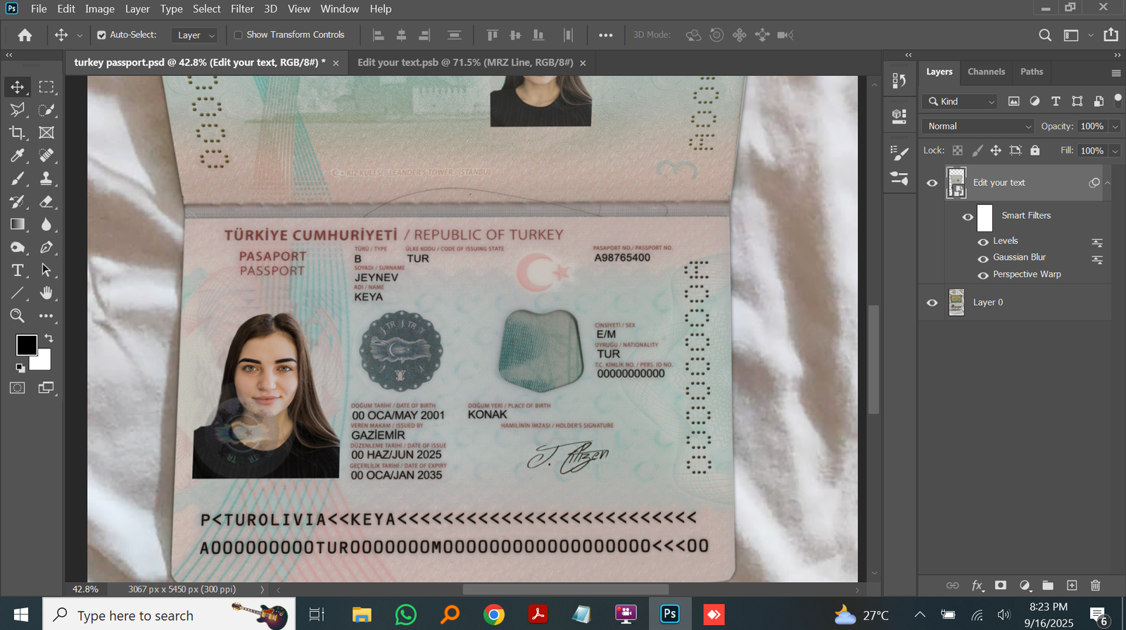  Turkey passport PSD Template Preview