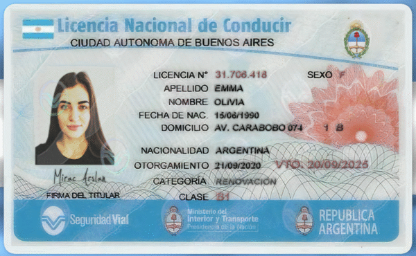 Argentina (Buenos Aires) Driving Licence V2 PSD Template - Editable, Multi-Purpose Design - Image 3