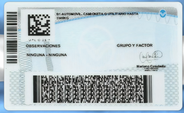 Argentina (Buenos Aires) Driving Licence V2 PSD Template - Editable, Multi-Purpose Design - Image 2