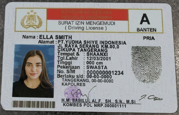 Indonesia Driver License PSD Template - Editable, High-Quality Design - Image 4