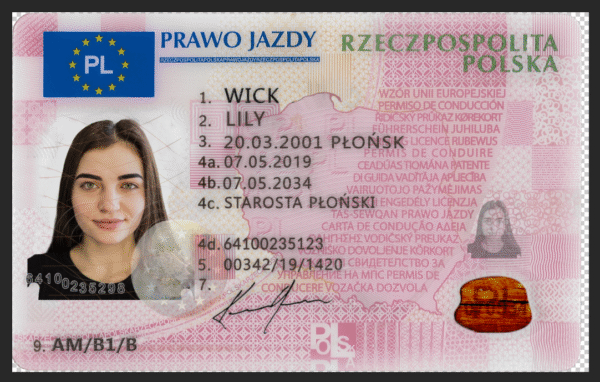 Poland Driving Licence V2 PSD Template - Editable, High-Quality Design - Image 3