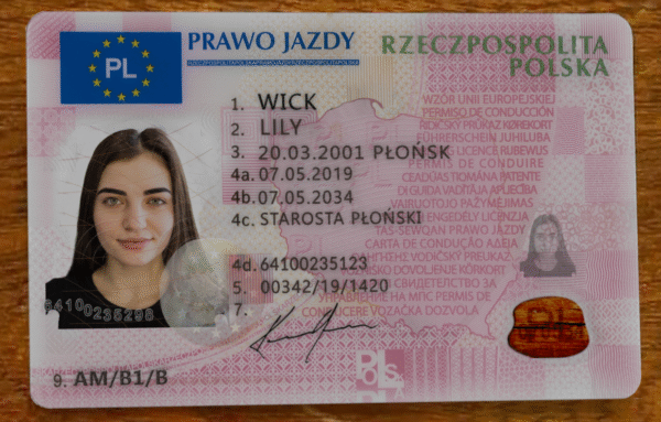 Poland Driving Licence V2 PSD Template - Editable, High-Quality Design - Image 4