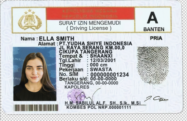 Indonesia Driver License PSD Template - Editable, High-Quality Design - Image 5