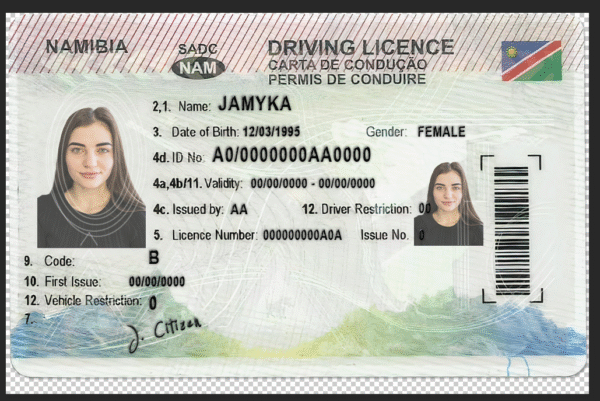 Namibia Driving Licence PSD Template - Editable, High-Quality Design - Image 5