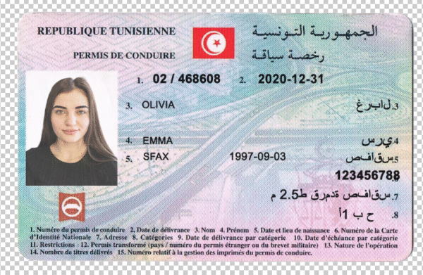 Tunisia Driving Licence PSD Template - Editable, High-Quality Design - Image 4