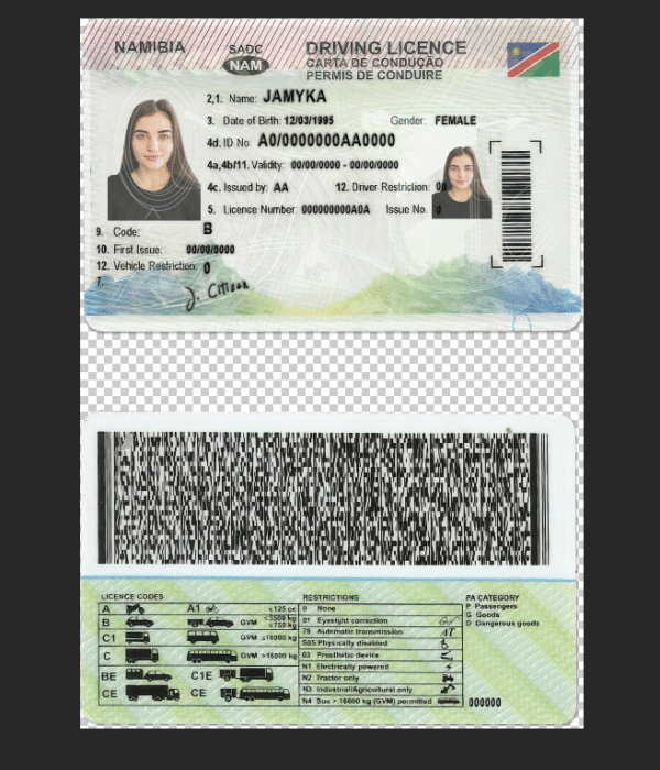 Namibia Driving Licence PSD Template - Editable, High-Quality Design - Image 6