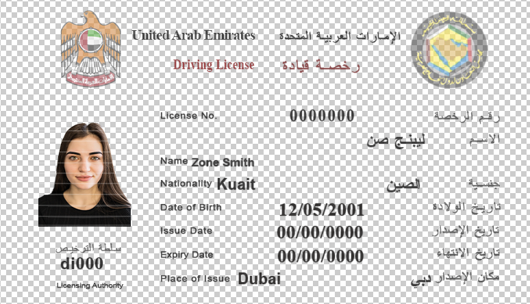 UAE Driver License PSD Template - Editable, High-Quality Design - Image 5