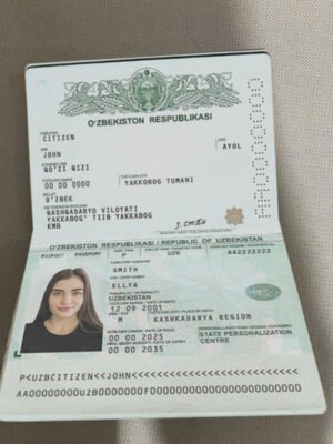 Uzbekistan Passport PSD Template - Editable, High-Quality Design