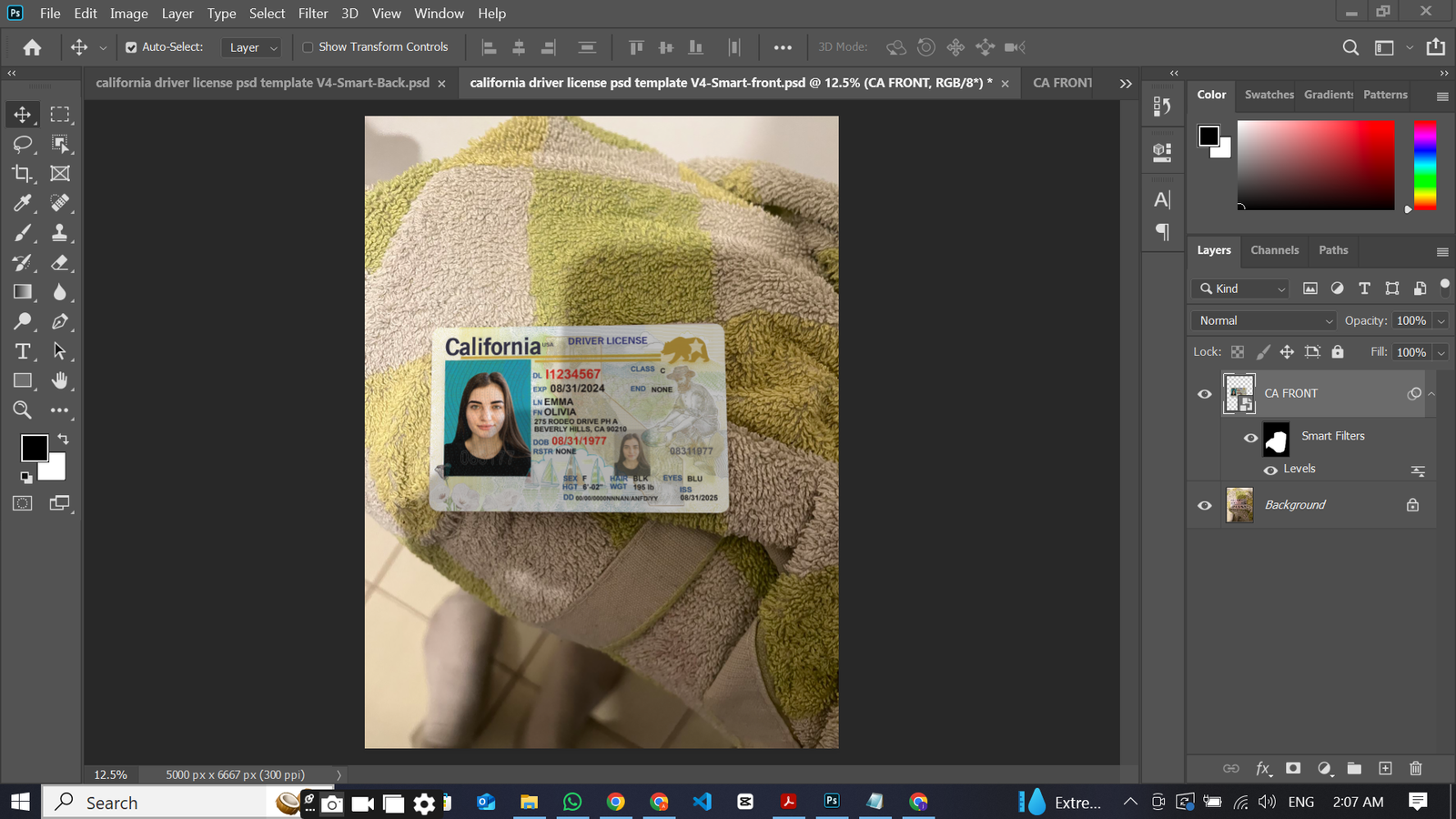 California dl V4Template Preview