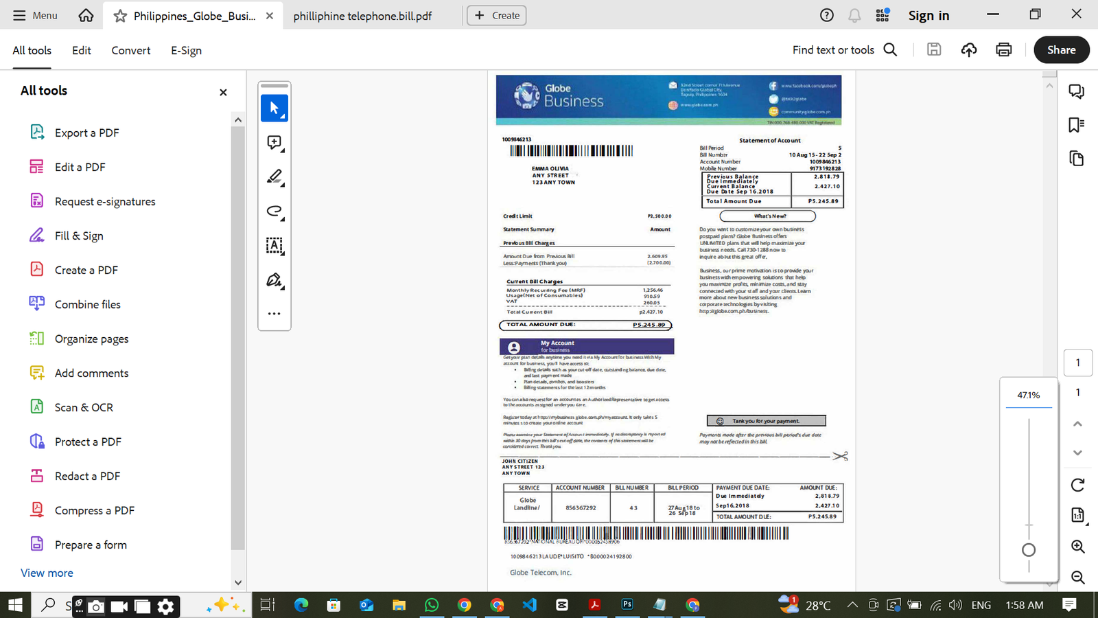Philippines Globe Business utility Bill PSD TemplateTemplate Preview