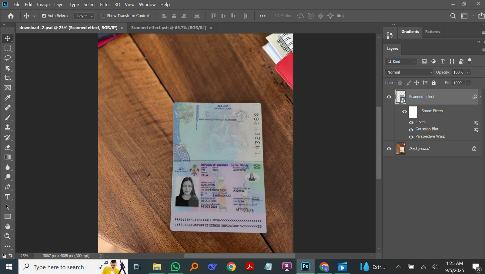 Malaysia Passport PSD Template Preview