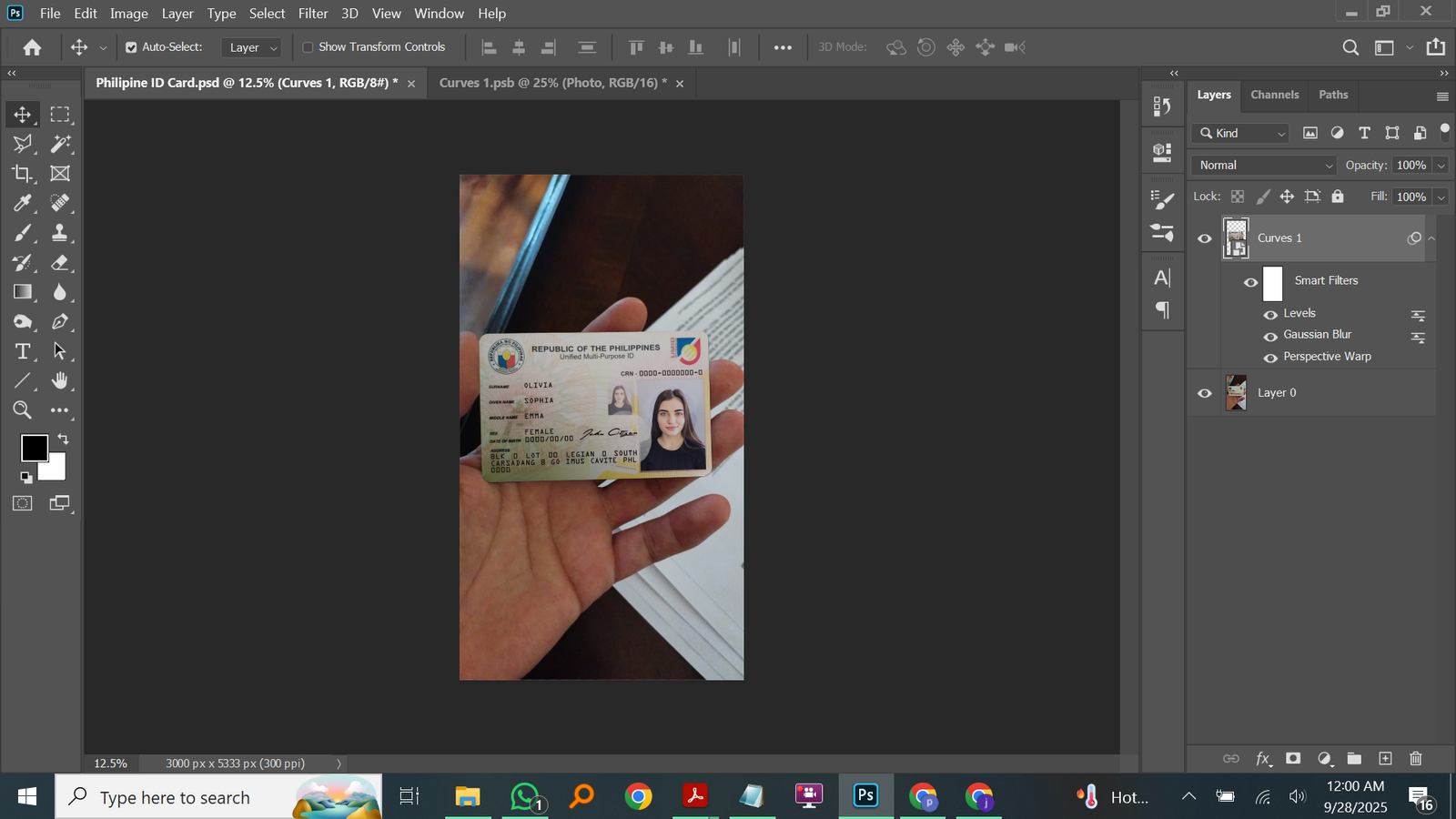  Philippines ID Card PSD Template Preview
