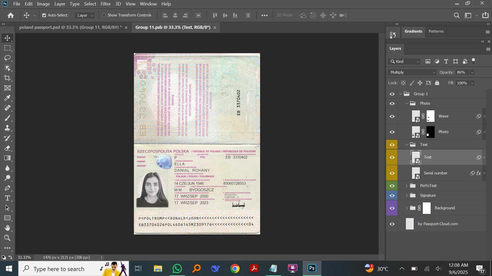 Poland passport PSD Template Preview