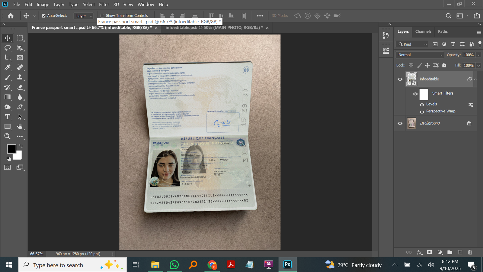 Preview of France Passport PSD Template 2025