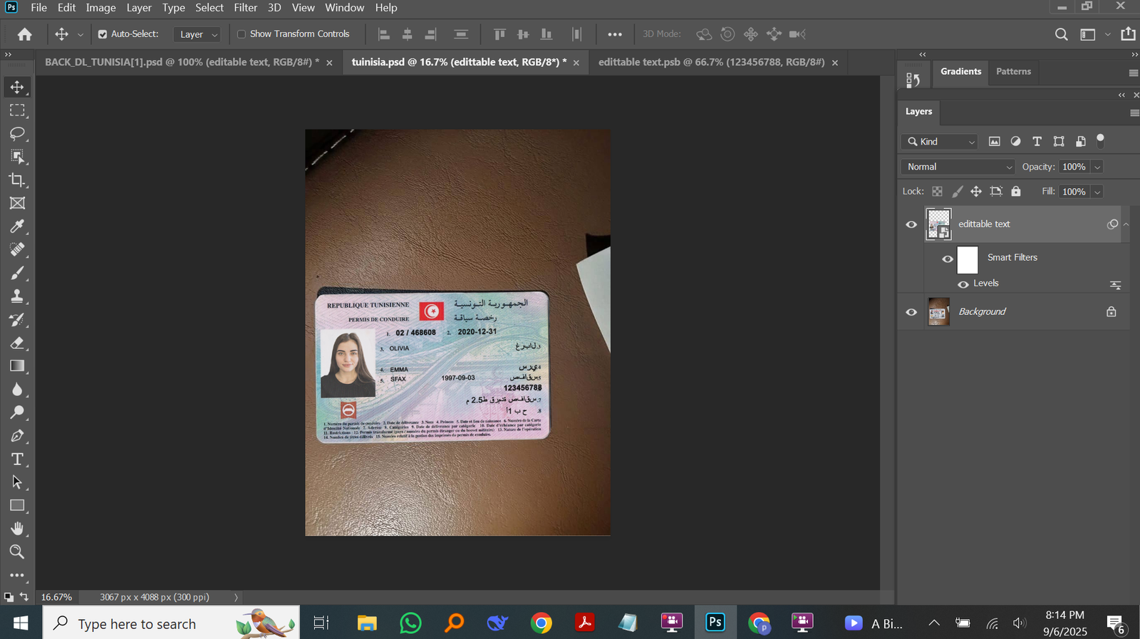  Tunisia driving licence PSD Template Preview