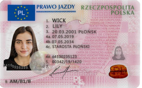 Poland Driving Licence V2 PSD Template - Editable, High-Quality Design - Image 2
