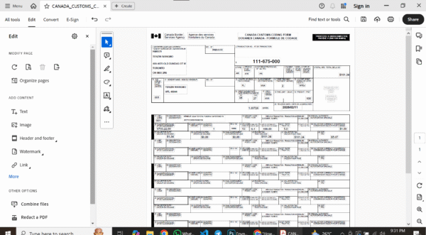 Canada Customs Coding Form PDF Template - Editable, Multi-Purpose Design - Image 3