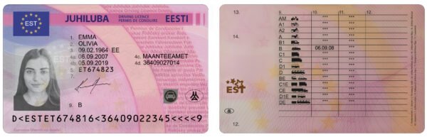 Estonia Driving Licence PSD Template - Editable, Multi-Purpose Design - Image 4