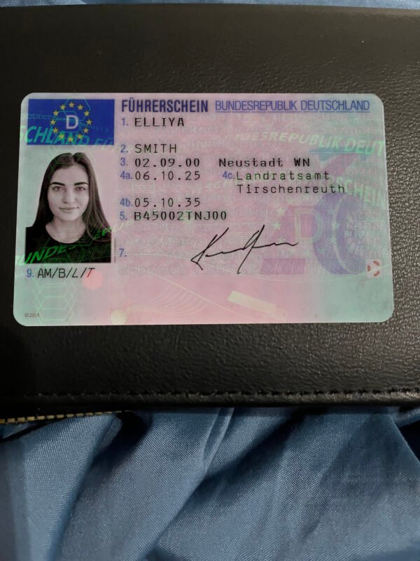 Germany Driving Licence PSD Template 2021 – Fully Editable & Instant Download