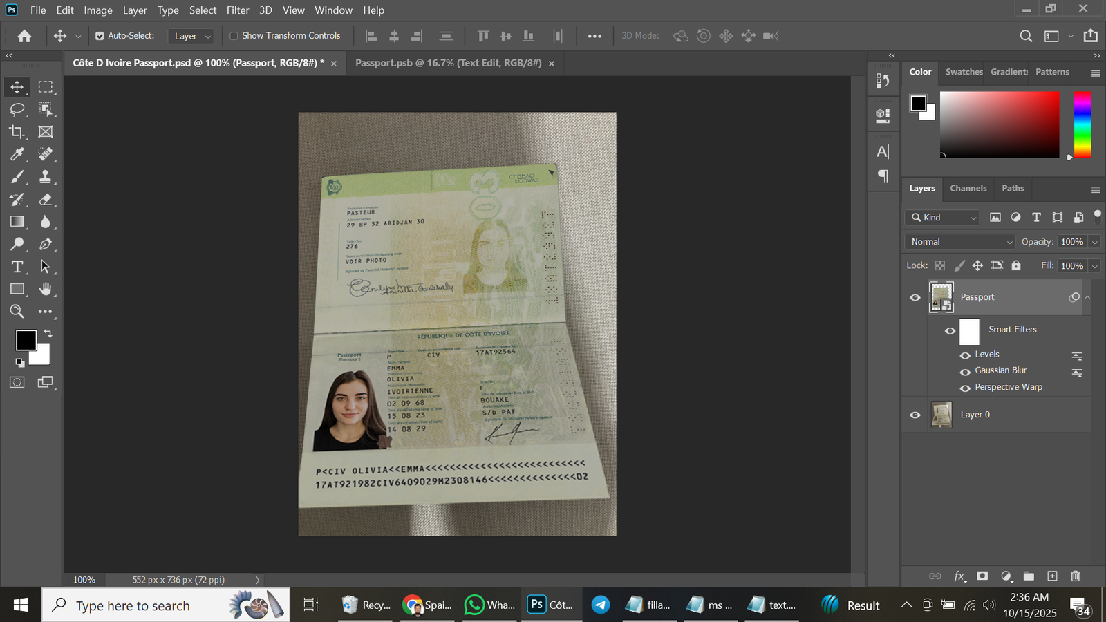 Côte D'Ivoire Passport 2008 PSD Template Preview