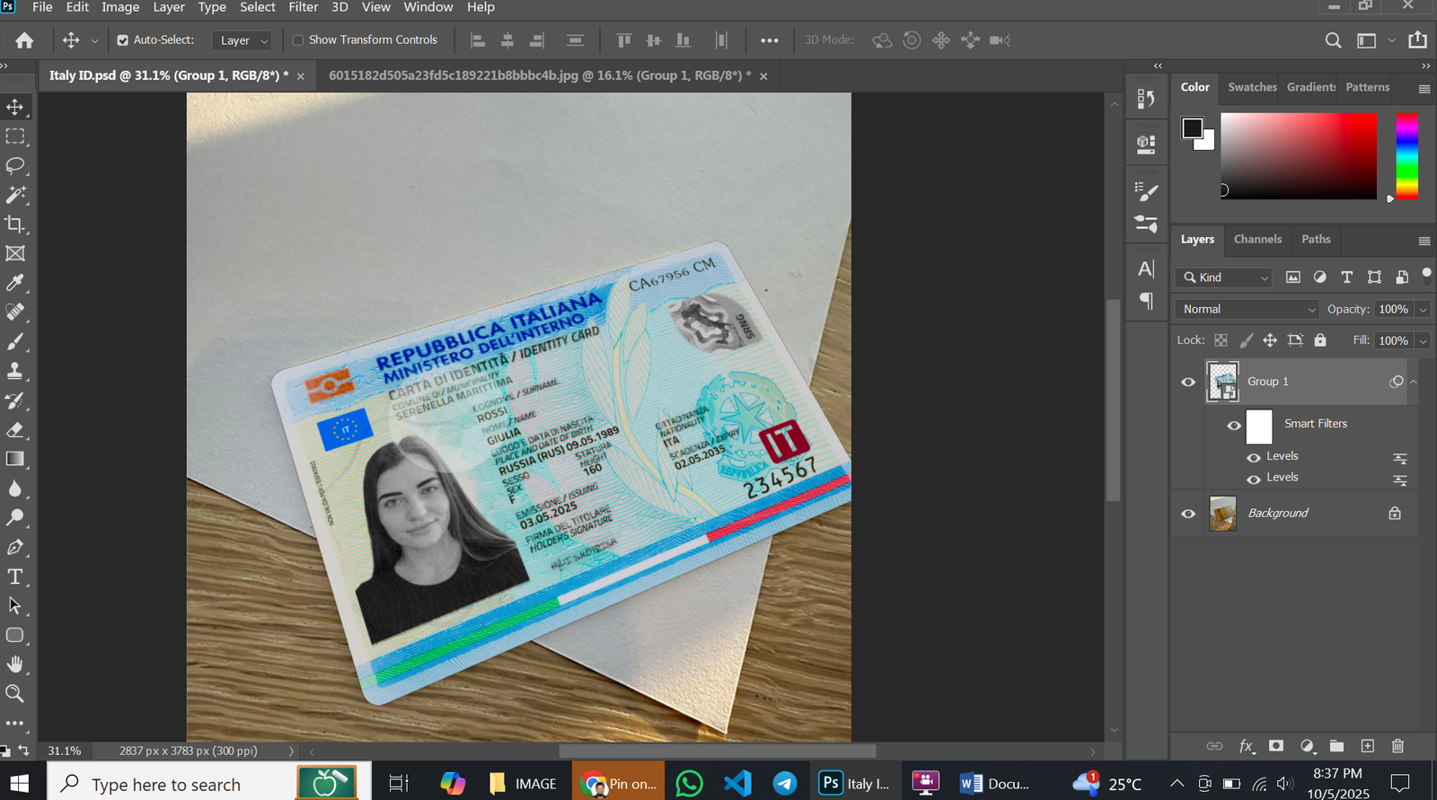 France Passport PSD Template Preview