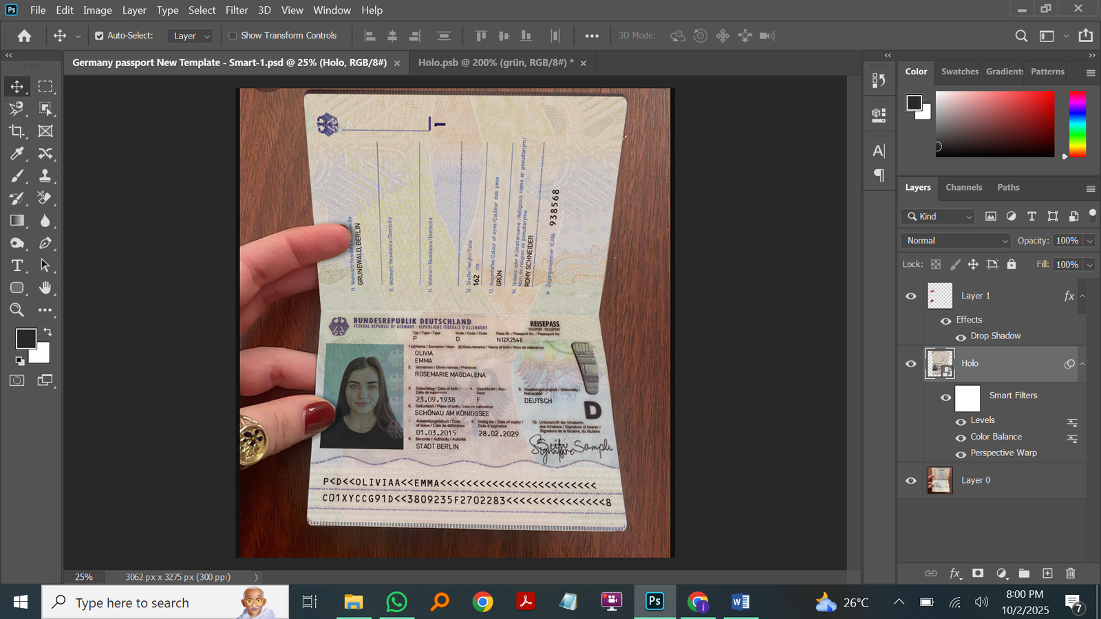 Germany Passport New Template Preview