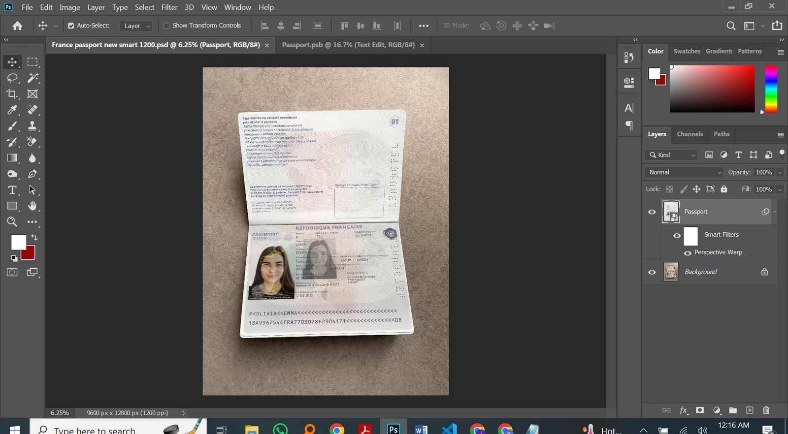 France Passport PSD Template Preview