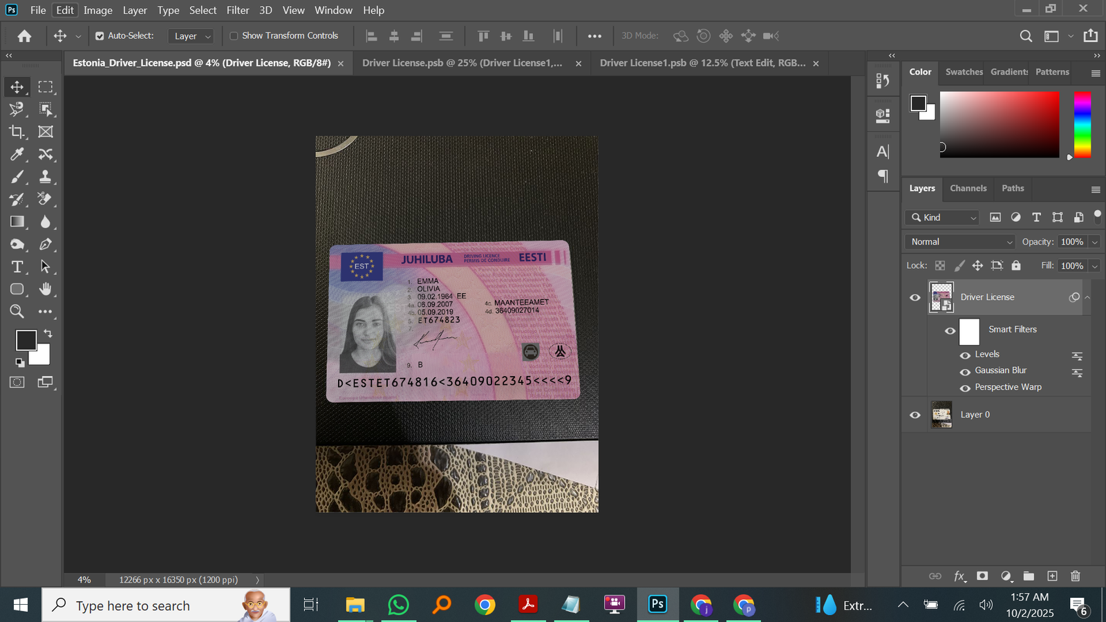 Estonia Driving Licence PSD Template Preview