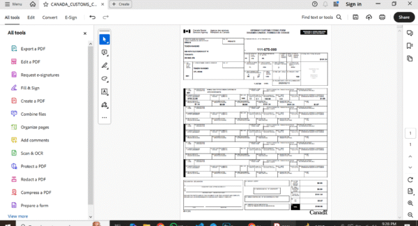 Canada Customs Coding Form PDF Template - Editable, Multi-Purpose Design - Image 5