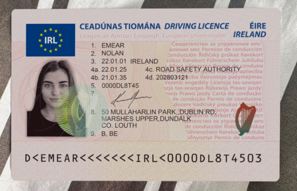 Ireland Driving Licence PSD Template - Editable, Multi-Purpose Design - Image 3