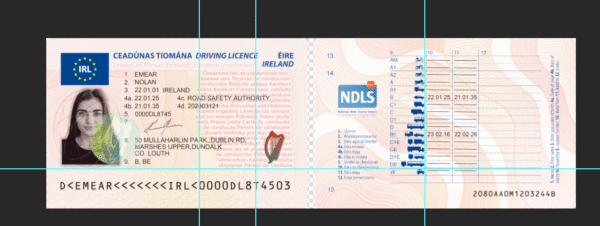 Ireland Driving Licence PSD Template - Editable, Multi-Purpose Design - Image 5